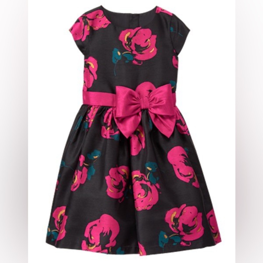 Girls Gymboree Floral party Dress size 4